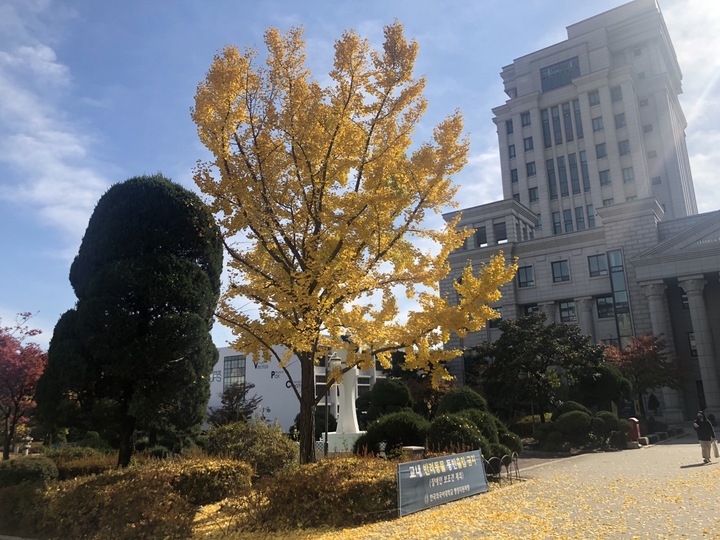 학교